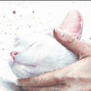 Meet your Posher, Miriam